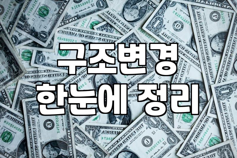 자동차 튜닝과 구조변경 정책, 직접 겪어보고 알게 된 현실적인 타협점들