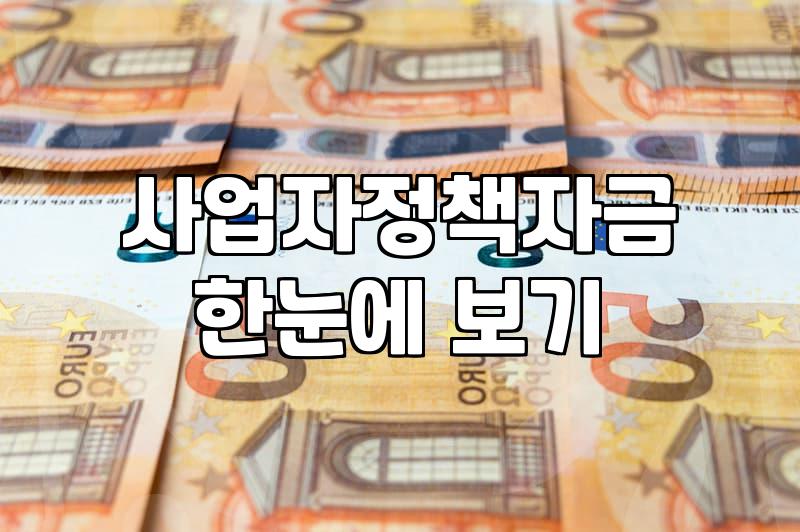개인사업자정부지원대출 실행 가능한 자격 요건과 신청 절차