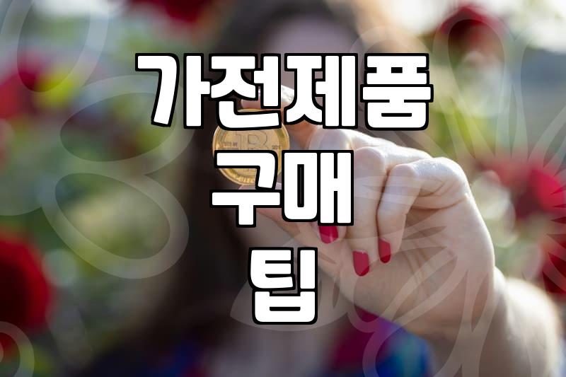 여름철 주방 환경을 바꾸는 필수 가전과 구매 전 체크리스트
