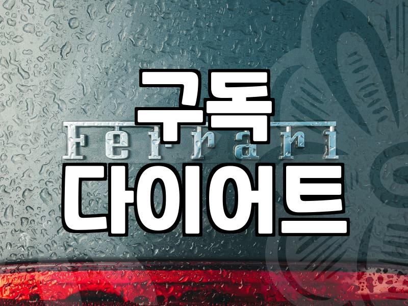 매달 지출하는 OTT플랫폼 구독료를 절약하는 합리적인 선택 기준