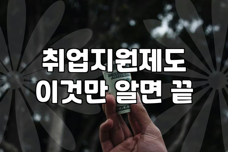 도쿄에서 개발자로 일한다는 건 생각보다 행정 업무와의 싸움이었다