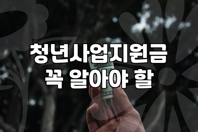 청년지원사업 신청 자격과 유형별 지원 금액 조건