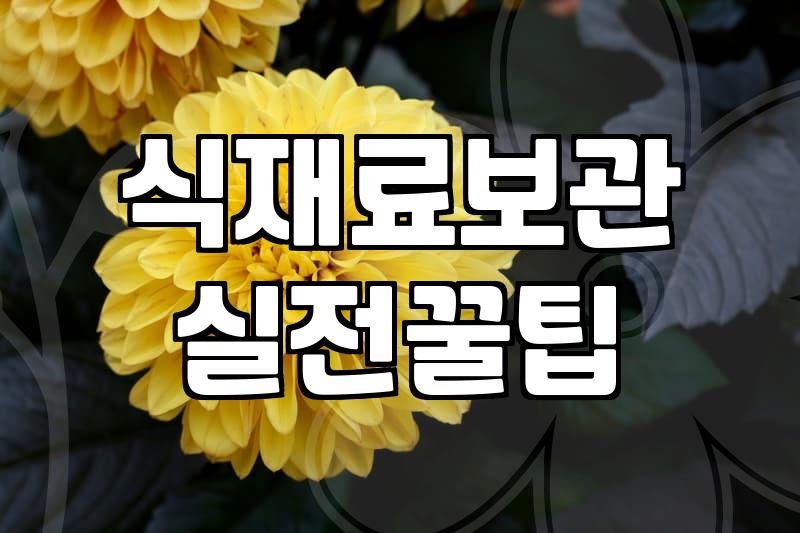 우리 집 식재료 신선함, 급속냉동고 하나면 충분할까?