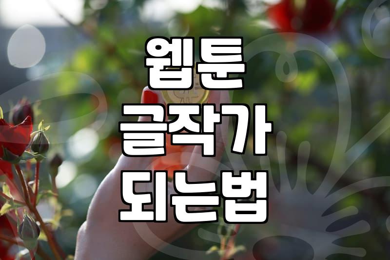 웹툰 글작가와 소설가 준비하면서 느끼는 현실적인 고민들