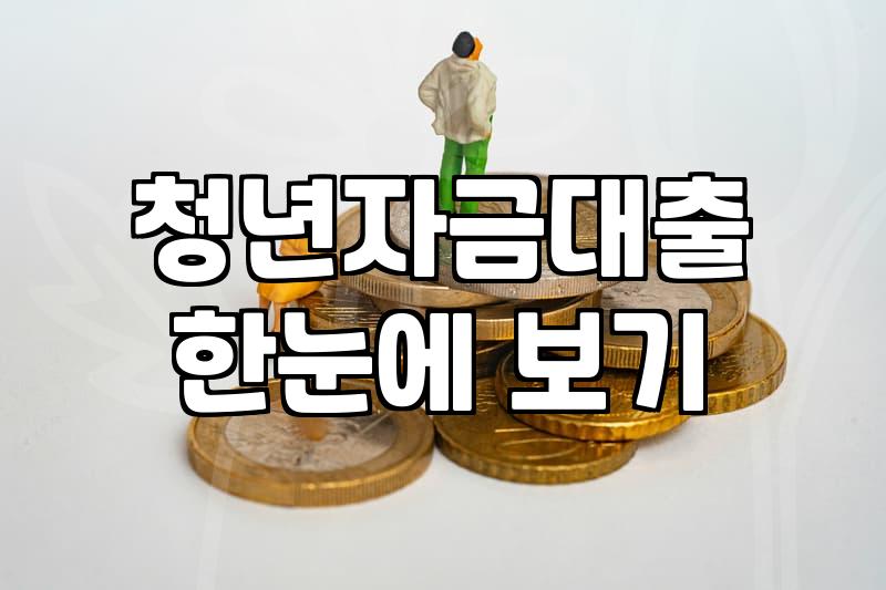 청년지원사업 자격 요건과 신청 시 주의해야 할 핵심 사항