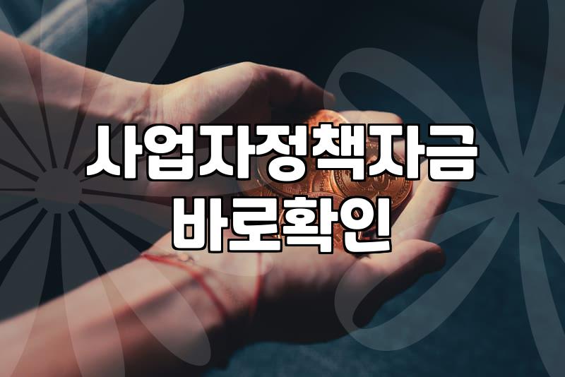 소상공인지원사업 종류별 신청 조건과 예산 소진 속도