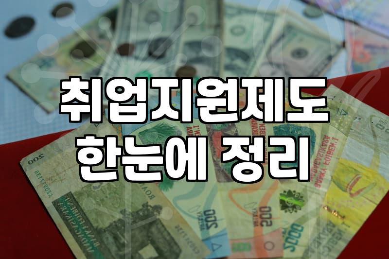 청년지원정책 유형별 대상자와 신청 조건 실무 기준