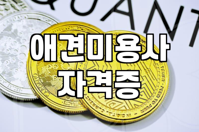 애견미용 학원 등록 전 알아두면 좋을 현실적인 준비 과정