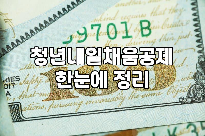 중소기업청년지원금 자격 조건과 실제 수령 가능한 금액