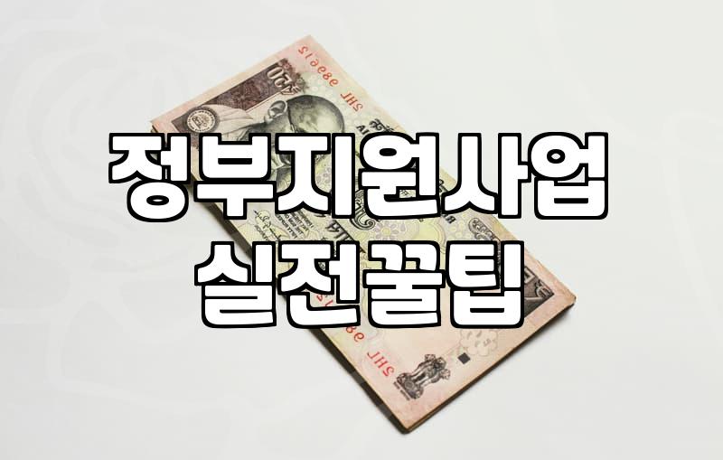 청년지원사업 대상자 선정 기준과 실질적인 신청 절차