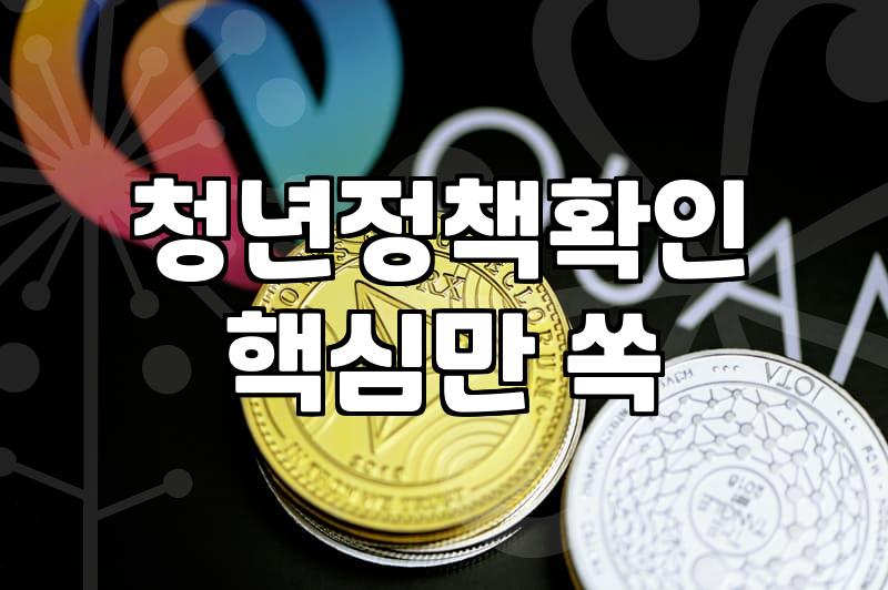 청년 정책 지원금 종류와 실제 활용 시 고려할 점