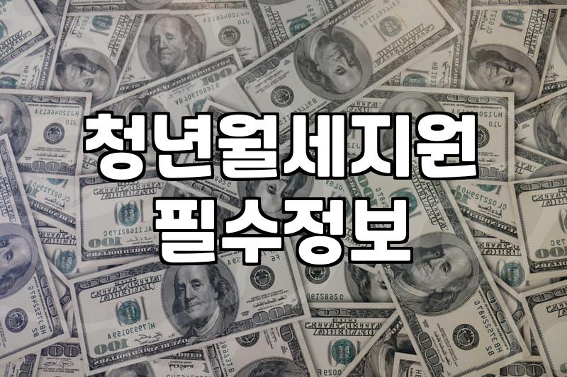 청년지원금 신청 자격과 놓치기 쉬운 필수 서류 확인 방법