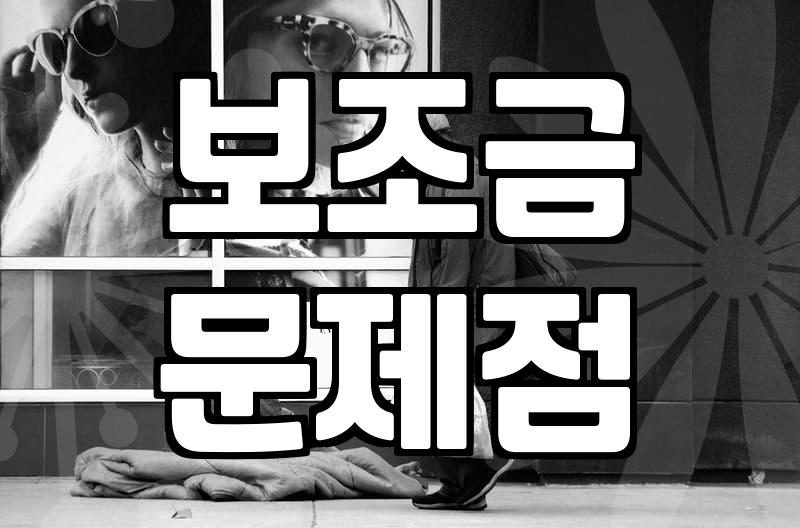 보조금 체계와 운영 실태가 가지는 현실적 고민들