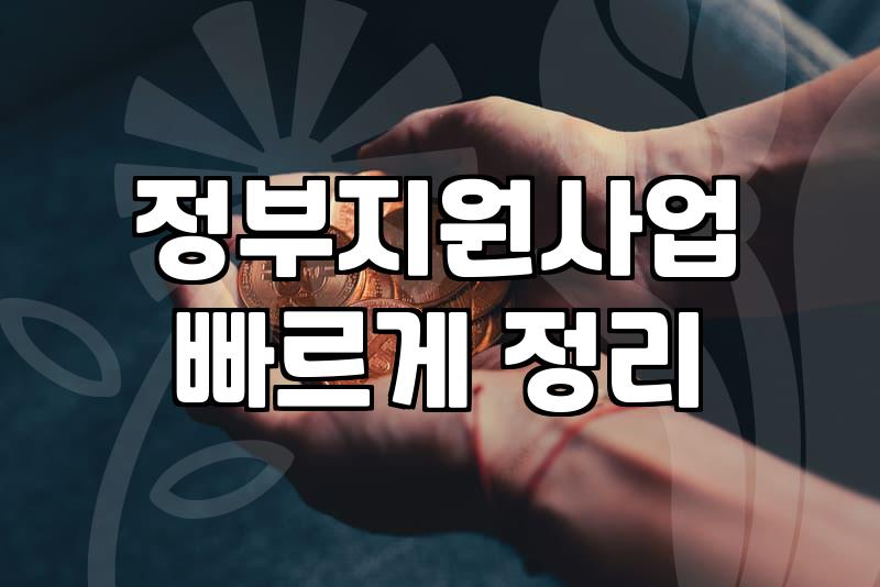정부 지원 사업, 무작정 신청하면 손해 보는 이유: 현실적인 조언