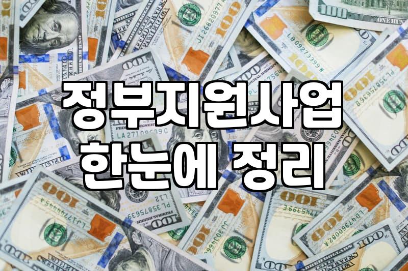 정부지원사업, 바우처 수행기관과 실전에서 부딪히며 배운 것들