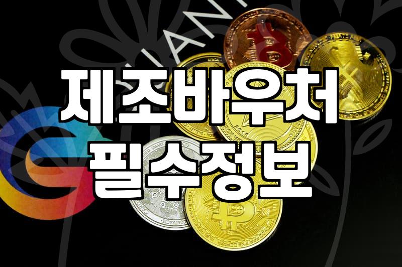 정부지원금의 그늘, 중소기업혁신바우처 직접 겪어보고 느낀 현실적인 손익 계산