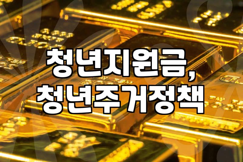 청년복지 정책, 현장에서 본 현실과 체감