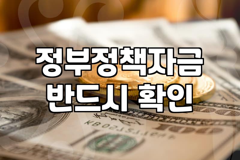 무주택자 전세자금대출, 직접 겪어보니: 이자 싸다고 무조건 좋은 건 아니었습니다