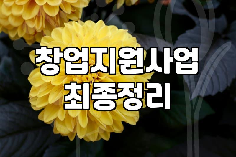 창업지원금, 신청하기 전에 꼭 알아야 할 냉정한 현실