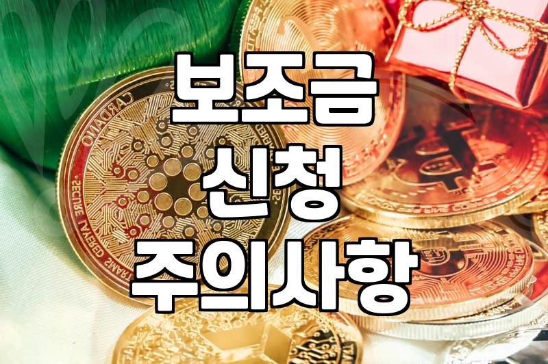 보조금, 신청하기 전에 꼭 알아야 할 씁쓸한 현실들