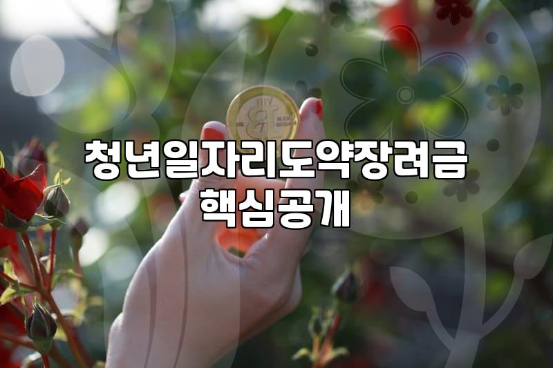 청년지원사업 대상자 선정 기준과 지원금 신청 방법