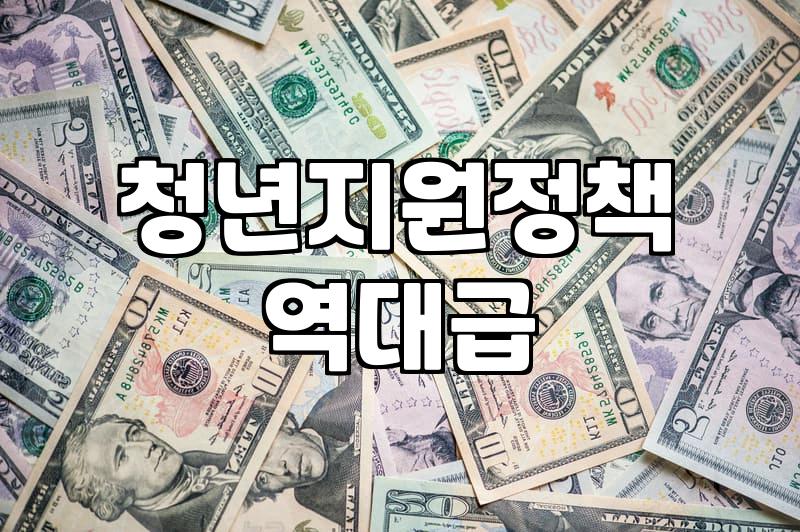 청년지원 정책 유형별 자격 조건과 실제 수령 방법