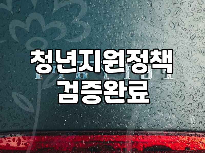 청년 복지 정책, 그 이면에 있는 현실적인 고민들