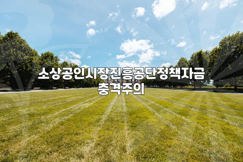 개인사업자가 소상공인 정책자금을 활용해 지게차를 구매할 때 확인해야 할 실무들