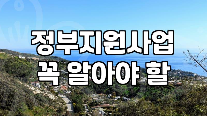 사업 운영 중 마주하는 자금난과 정부 지원 프로그램 활용하기