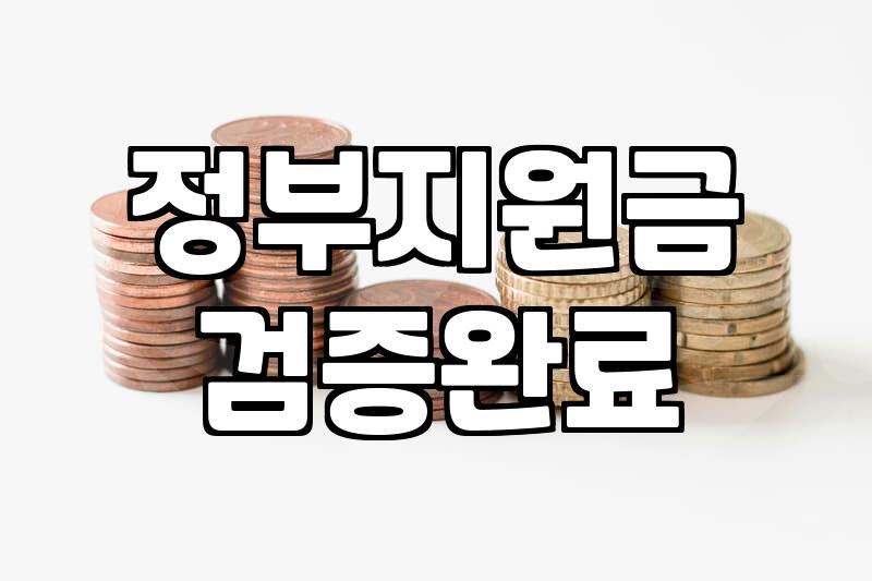 국가 보조금과 지원금 제도를 이용할 때 알아야 할 현실적인 지점들