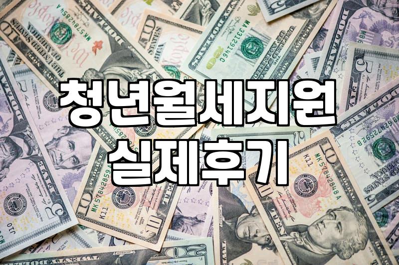 청년지원 정책의 실제 수혜 대상과 신청 시기 결정 방법
