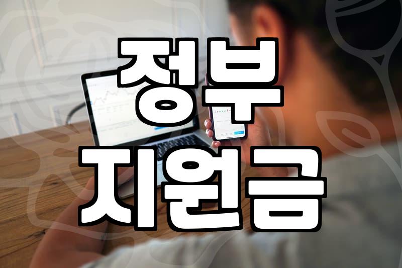 보조금 지급 기준과 신청할 때 꼭 알아야 할 필수 조건