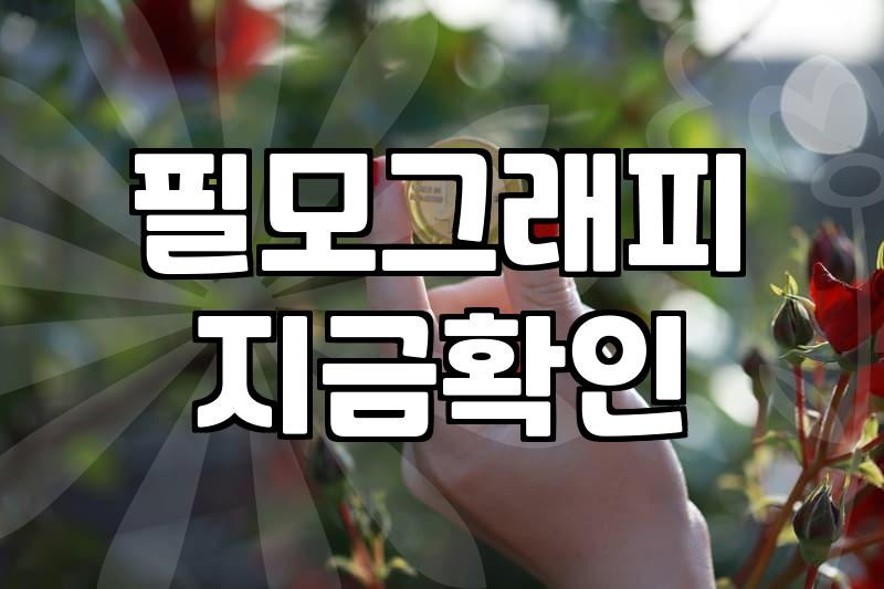 실패 없는 개봉예정영화 선택을 위해 반드시 확인해야 할 3가지