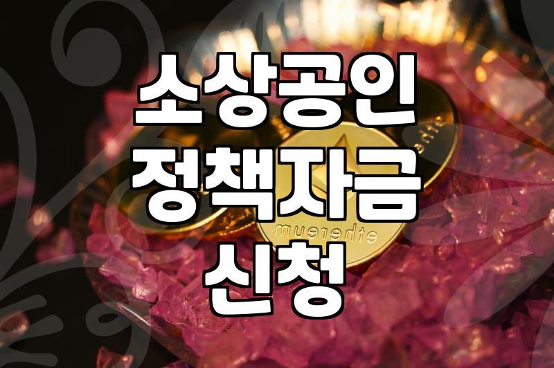 청년 창업과 사업 운영을 위한 정책 자금 활용법