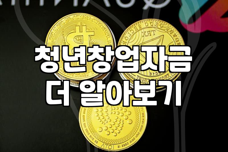 청년정부지원금 신청 전 반드시 확인해야 할 자격 조건과 지원 범위