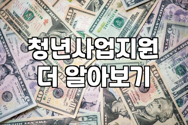 청년지원 정책의 실제 수급 조건과 신청 시 주의해야 할 항목