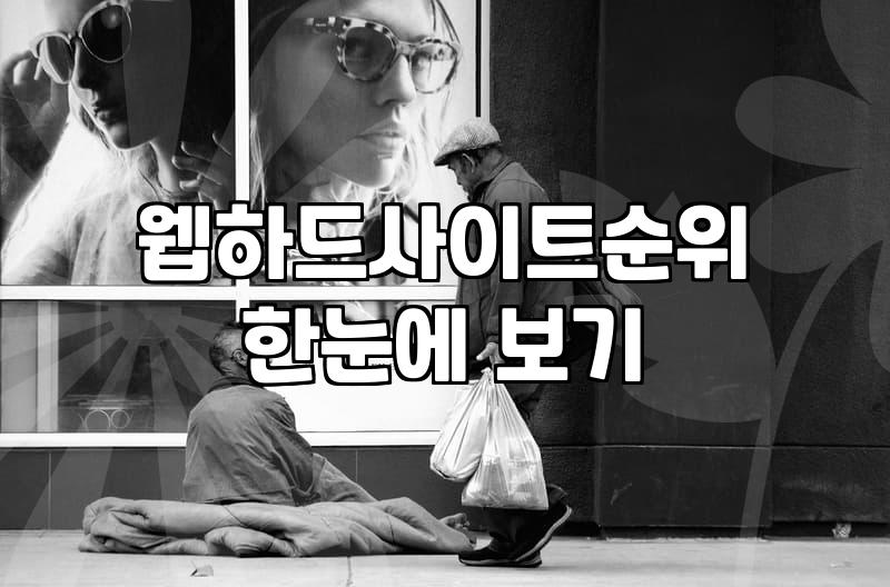 영화다운로드순위 확인 시 주의해야 할 합법적 이용 방법