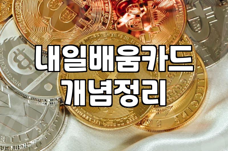 정부지원 기술 배우기, 현실적인 선택과 집중