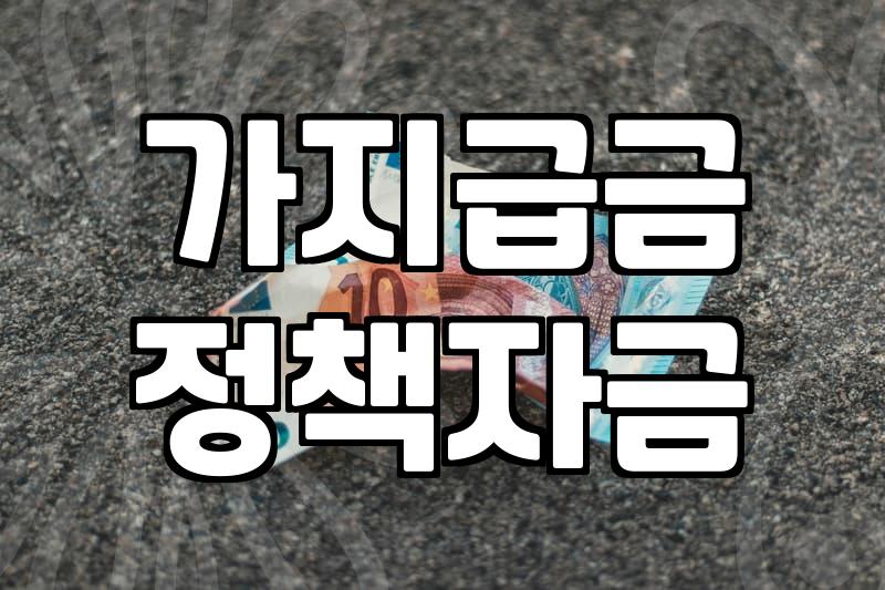 가지급금 때문에 중진공 정책자금 신청이 거절됐어요