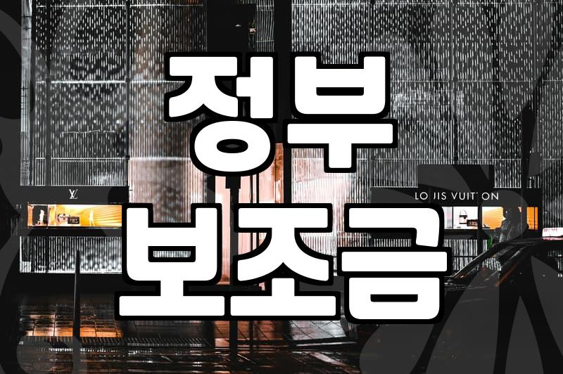 보조금, 정말 ‘공짜 점심’일까? 현실적인 고민과 뒷이야기