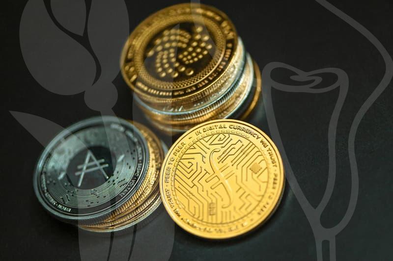 복잡한 청년지원, 똑똑하게 활용하는 노하우