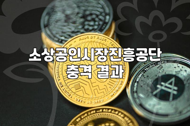 개인사업자정부지원대출 조건과 신청 가능한 한도 분석