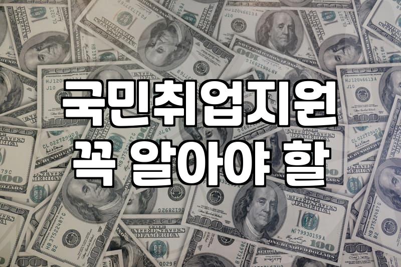 청년지원사업 신청 전 반드시 확인해야 할 자격 조건과 지원 범위