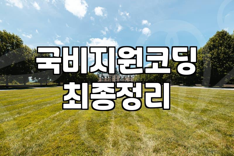 청년에게 코딩 수업이 필요한 이유와 현실적인 선택지