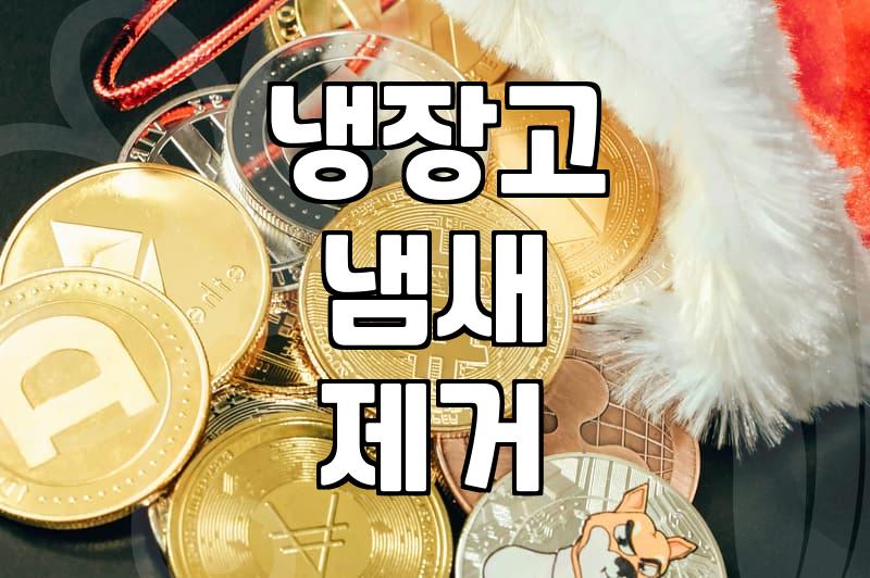 냉장고 속 냄새 잡는 주방용품, 이것만은 꼭 챙기세요