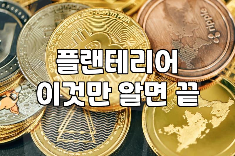 결국 집에 들인 필로덴드론이 생각보다 손이 많이 가는 이유