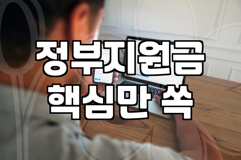 보조금, 무작정 신청하기 전에 꼭 알아야 할 현실적인 고민들