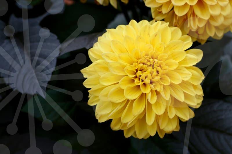 매출 올리는 업소용쇼케이스, 전문가가 알려주는 선택 노하우