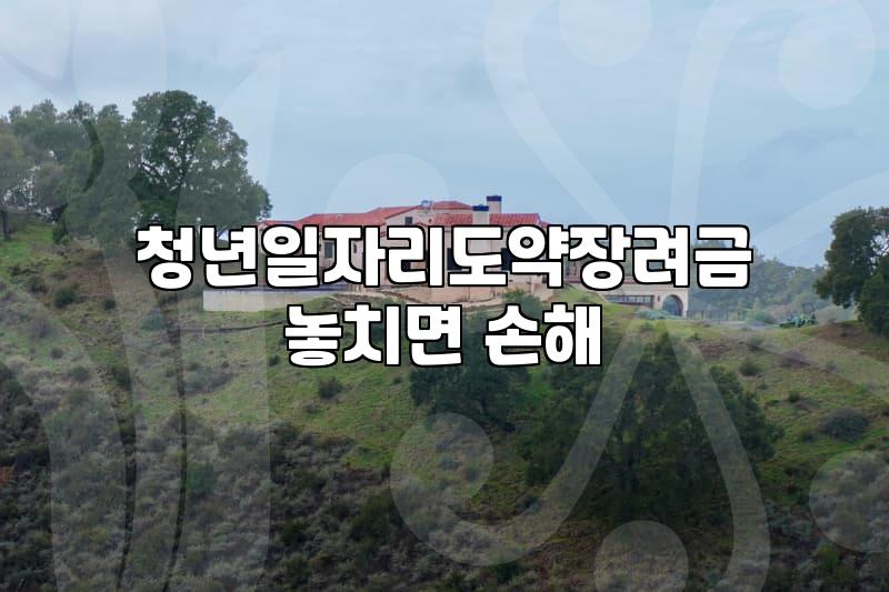 청년복지 정책 대상자 선정 기준과 지원금 수령 시 유의사항
