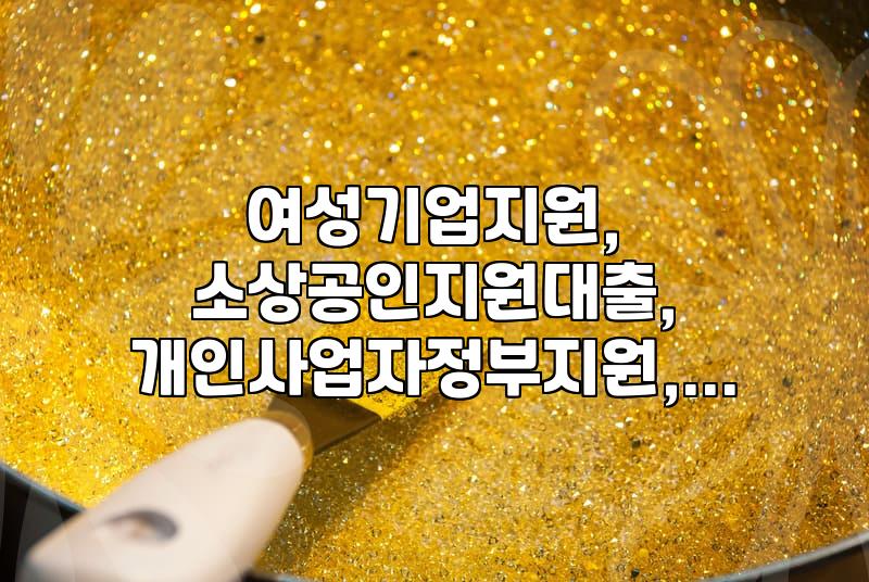 대전 지역 여성 기업가, 소상공인 정책 자금 및 지원 사업 알아보기